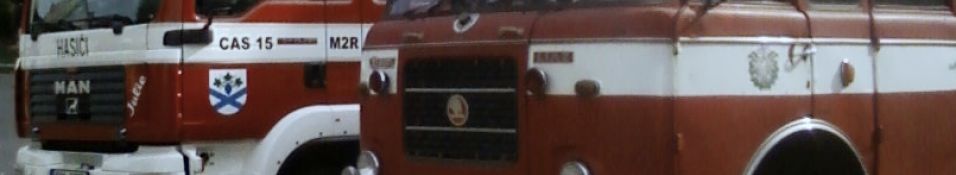 Primary Raster logo